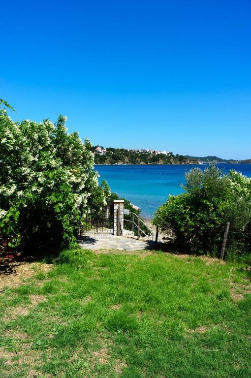 Apartament Aphrodite Skiathos Megali Ammos  Zewnętrze zdjęcie