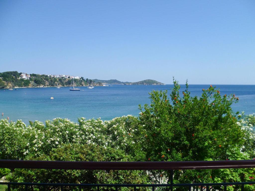 Apartament Aphrodite Skiathos Megali Ammos  Zewnętrze zdjęcie